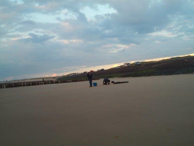 Nico en Jan aan de Baaiweg