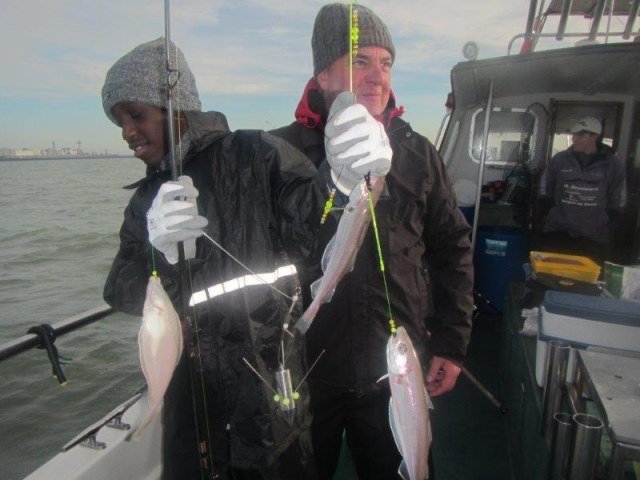 Op schar en wijting vissen op de Westerschelde