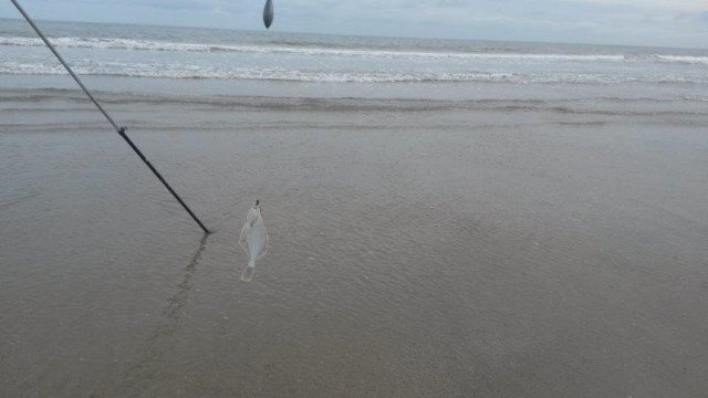 Strandsessie Domburg, Joost, Wijnand en Kyan