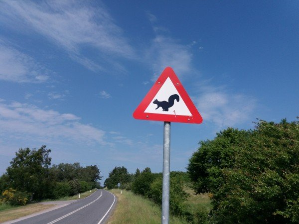 Kantvissen aan Zuid-Langeland(Denemarken)