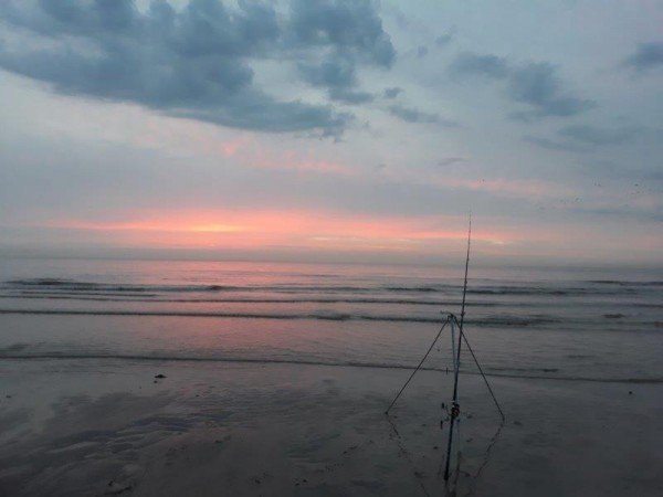 Eldert, vissen aan Domburg en Waarde