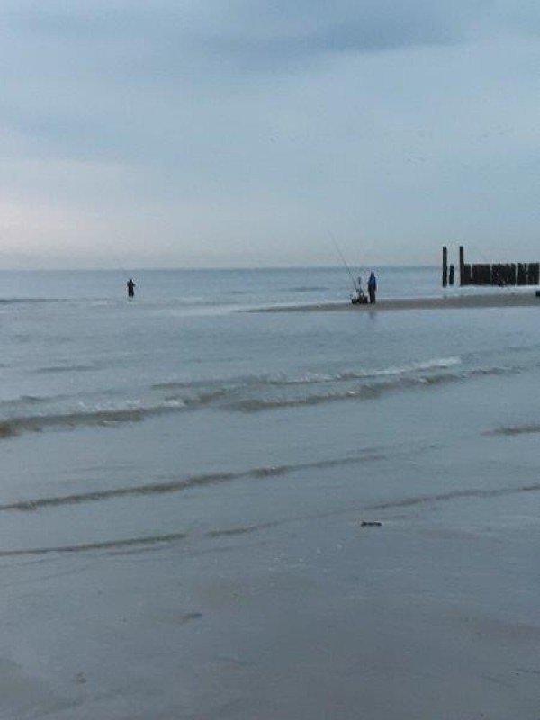 Eldert, vissen aan Domburg en Waarde