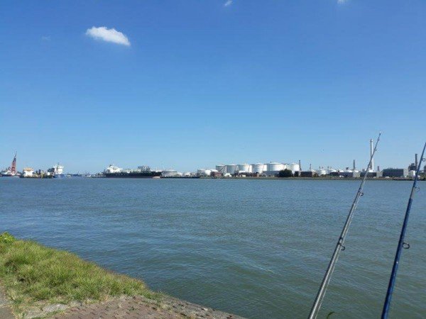 Eldert, vissen op tong in de Waterweg