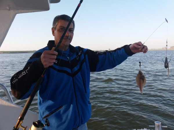 Bootvissen Oosterschelde, met Rob(Torsk)Chuman