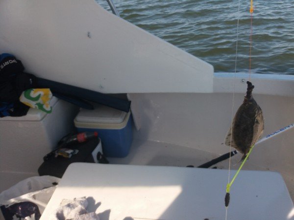 Bootvissen Oosterschelde, met Rob(Torsk)Chuman