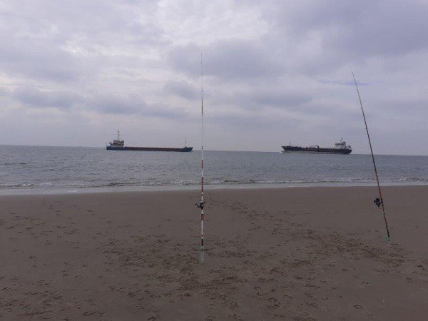 Kees, strandvissen aan Zouteland