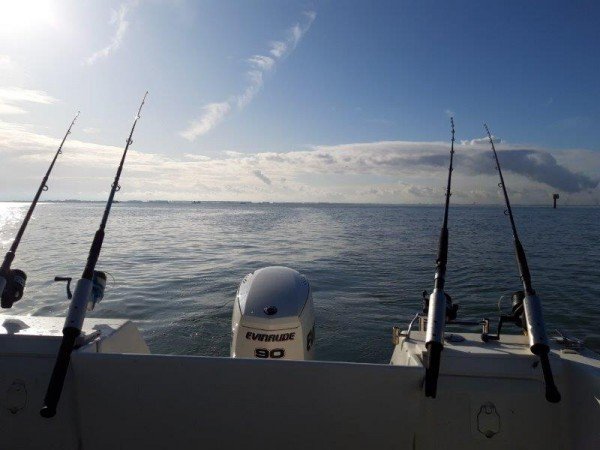 Tom, bootvissen op de Westerschelde