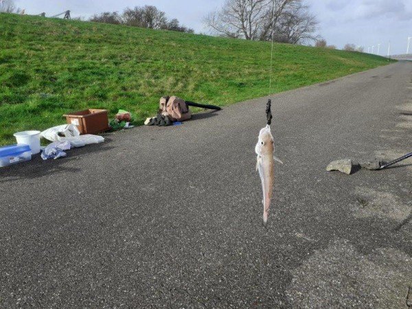 Stefan, vissen in de Waterweg