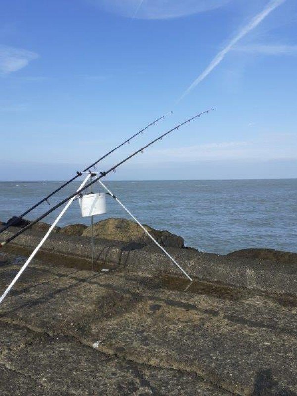 Stefan, vissen aan Wijk aan zee