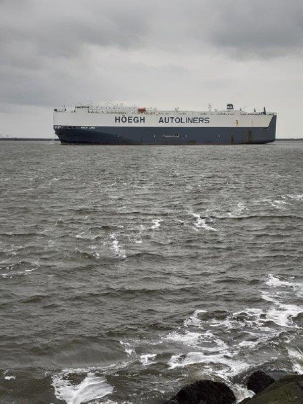 Stefan, vissen aan Wijk aan zee