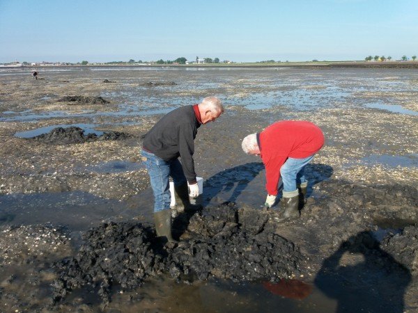 Pastoor en Misdienaar, vissen op tong