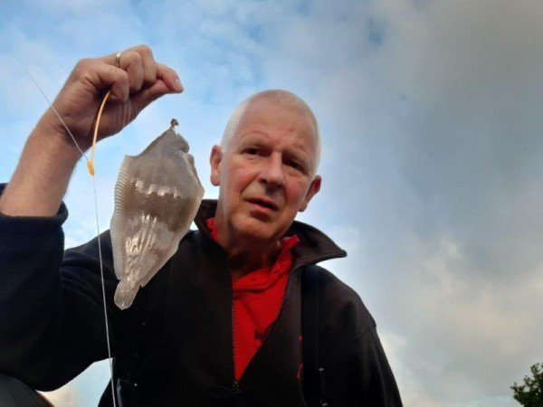 Eldert, tongvissen aan de Botlek