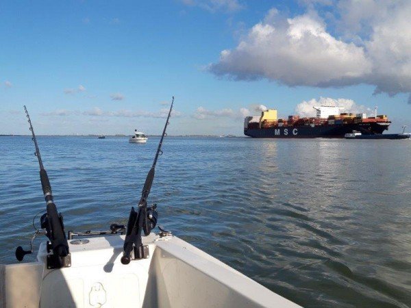 Tom, vissen westerschelde