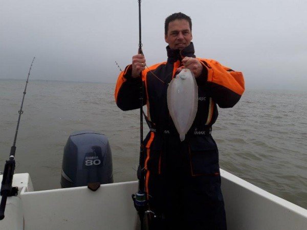 Tom, bootvissen Westerschelde