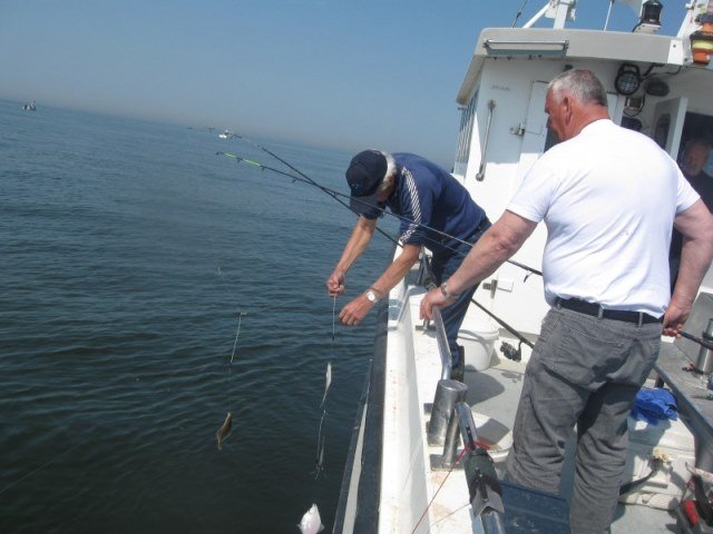 Ankervissen aan De Meerkerk, met de MS Big-Marlin