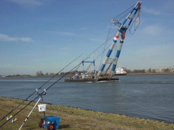 Henry en Jack, vissen aan de Waterweg