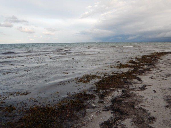 Funen(Denemarken)