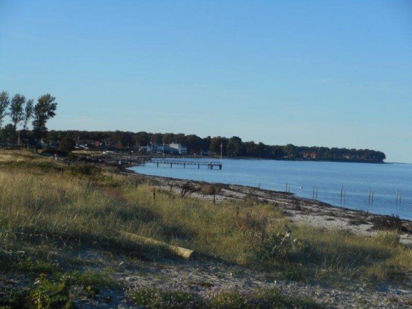 Weekje kant vissen, in Nyborg, met Jack Jozen