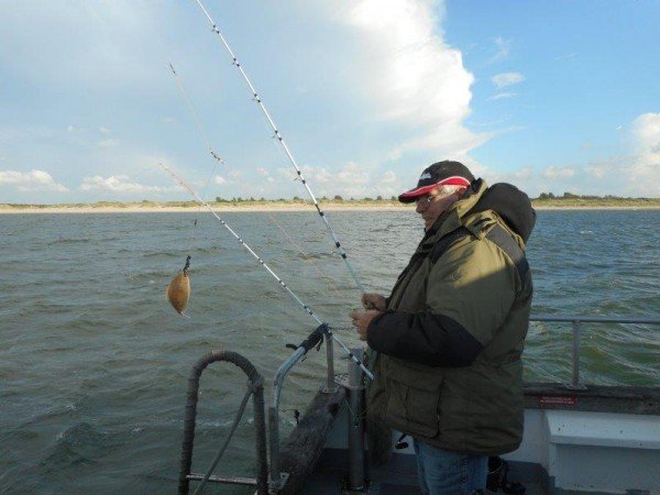 Tongvangsten trekken aan in de Voordelta