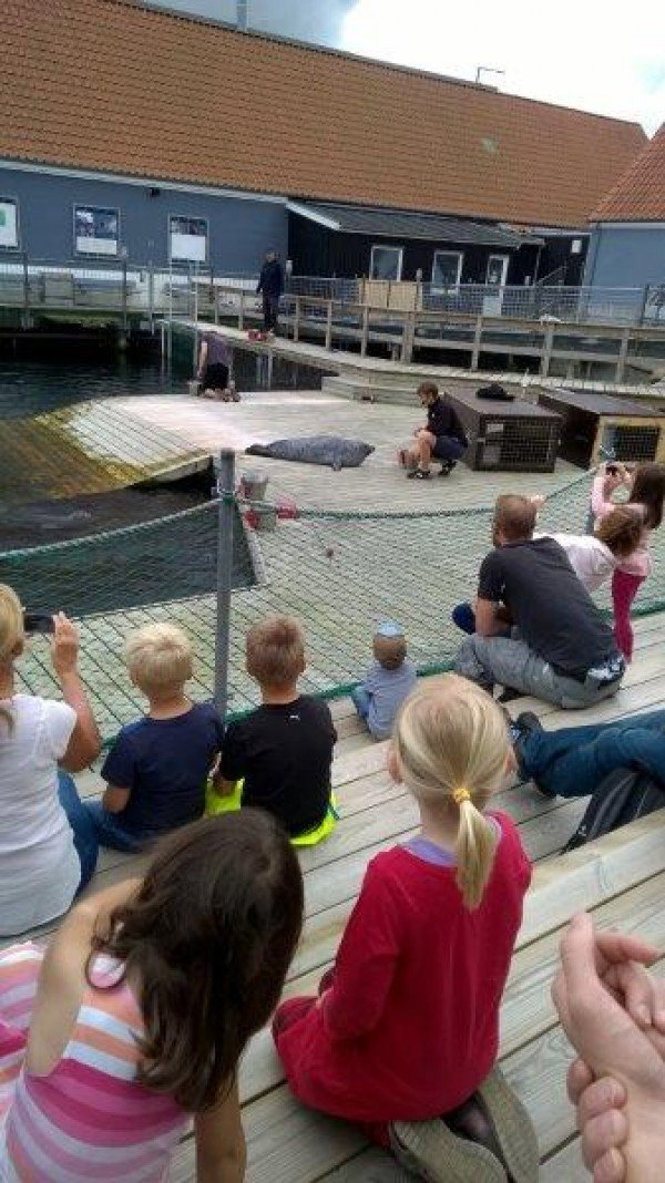 Familie (Vis)Vakantie te Nyborg, Denemarken