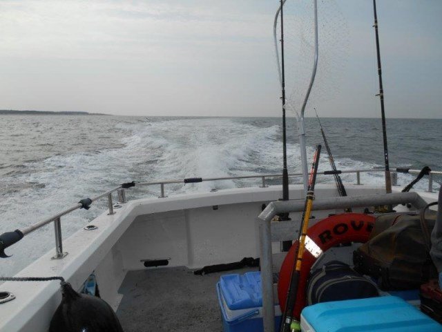 Sponsor tocht met Rover-seafishing