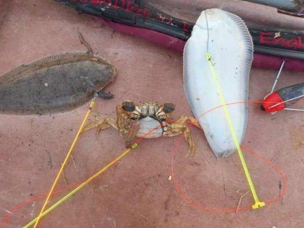 Solo op tong, in de vroege ochtend