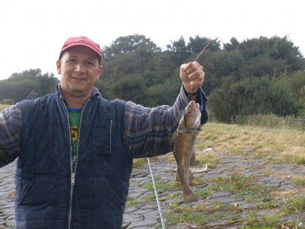 Vissen op gul aan Maassluis, toen was er nog genoeg te vange