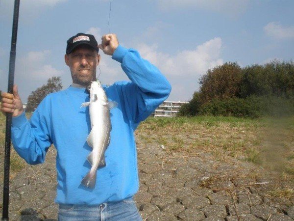 Vissen op gul aan Maassluis, toen was er nog genoeg te vange