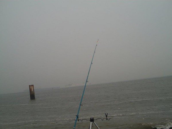 Strandvissen met Nico en Johan