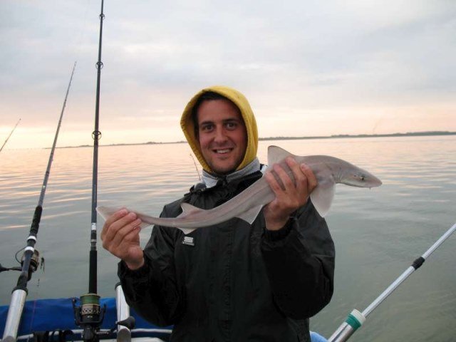 Lucky Luc en Gregory op de Oosterschelde