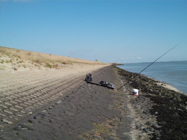 Kantvissen met Nico(Alias de Zeehondetemmer)