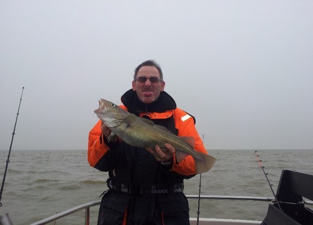 Ben en kornuiten op de Westerschelde