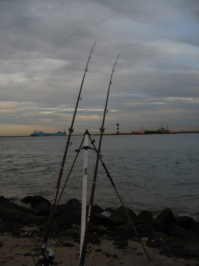 Leo aan de Maasvlakte 2