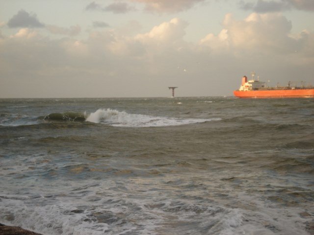 Leo op herhaling naar  De Maasvlakte 2