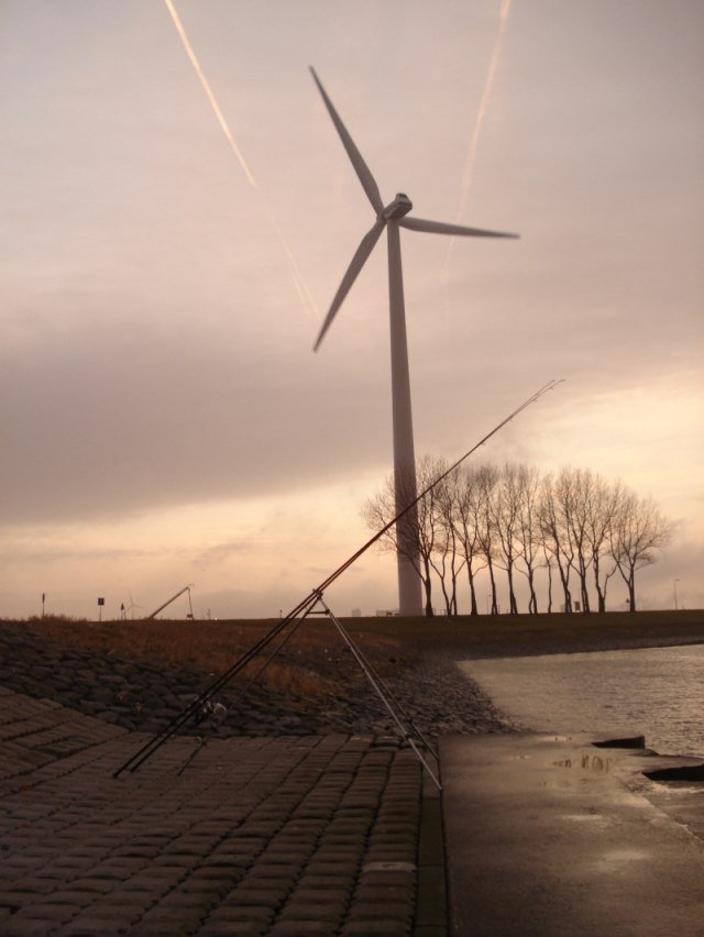 Leo aan de Waterweg