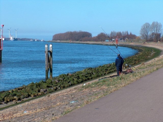 Wiebe gaat kijken