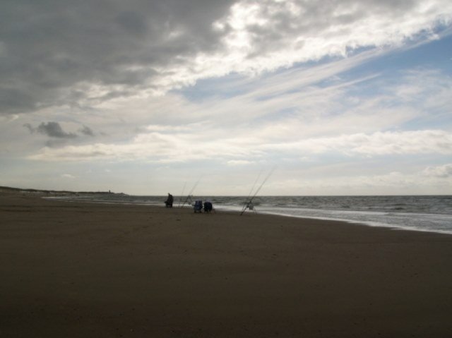 Jack vanaf het strand