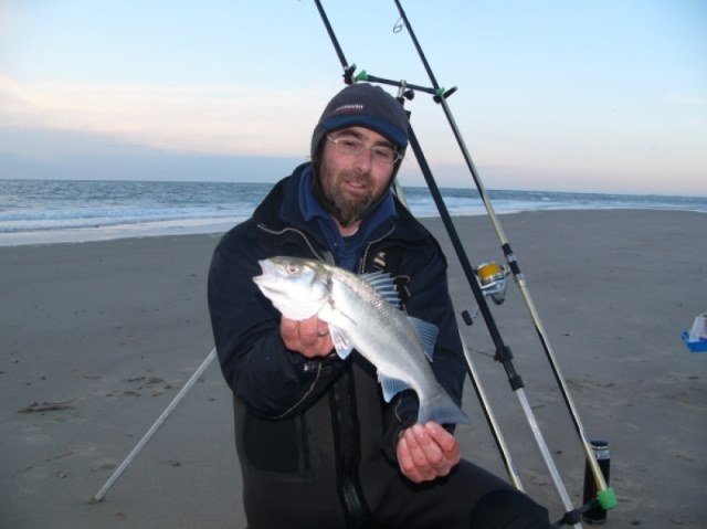 Jack vanaf het strand