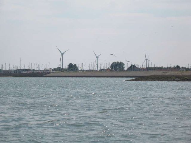 Luc zijn allereerste Oosterschelde haai.