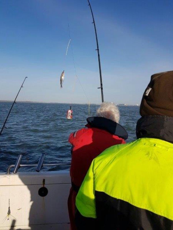 Ankervissen met de Waypoint, sponsortocht Fishguppy