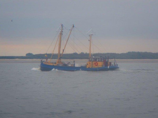 Alain en Isi, scharrenbal met de Valkyrie