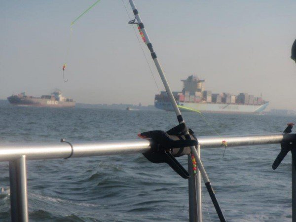 Alain en Isi op de Westerschelde