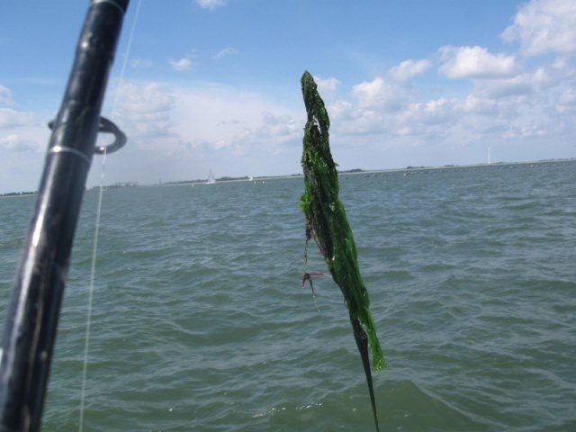 Oosterschelde, ankerlier uitproberen