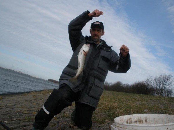 Vissen op gul aan Maassluis, toen was er nog genoeg te vange