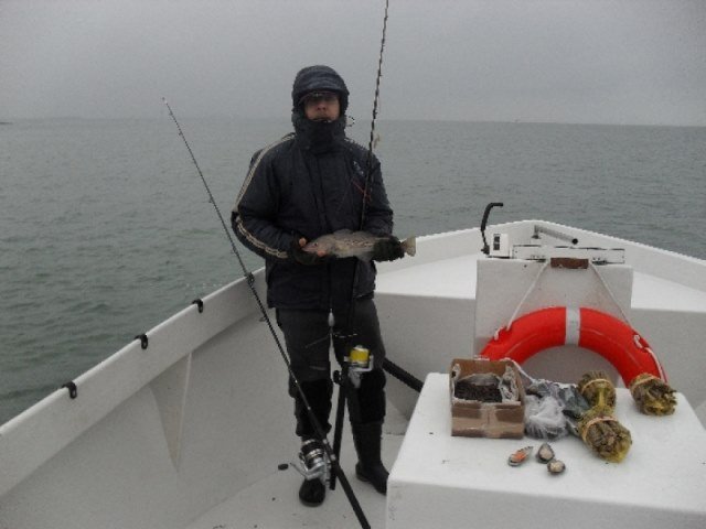 Vissen op de Oosterschelde