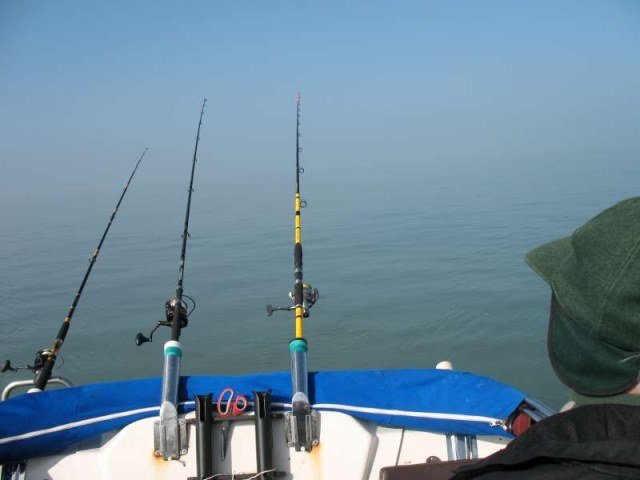 Crisis op de Oosterschelde