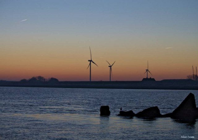 Luc en Nico, een dagje vissen op de Oosterschelde