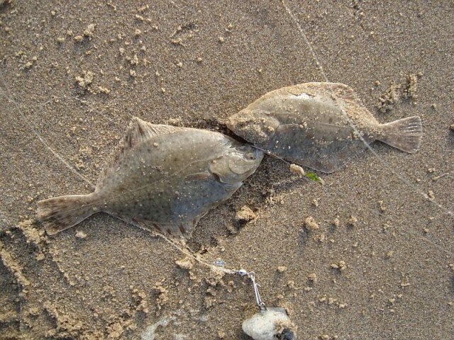 Ter Heijde strand