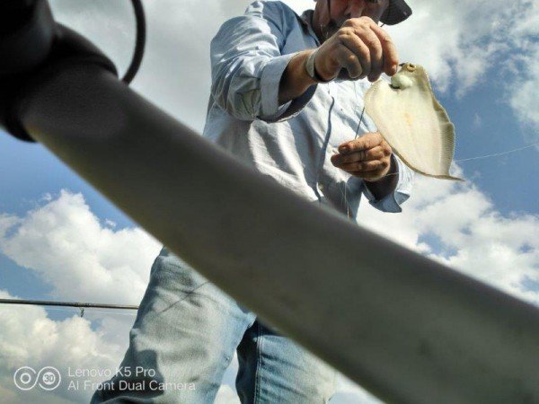 ies, vissen aan de Waterweg