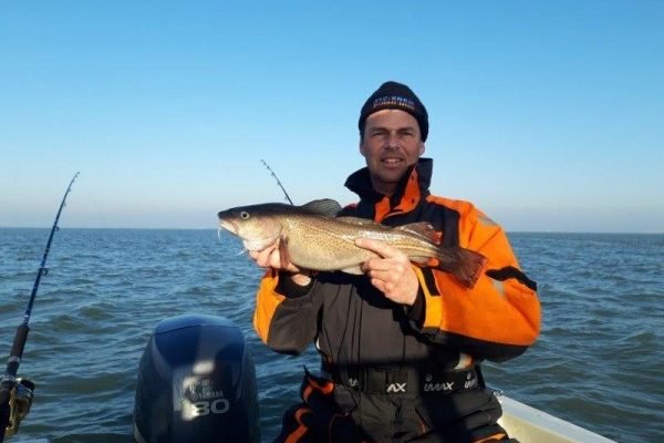 Tom, bootvissen Westerschelde